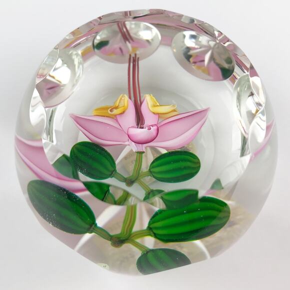 Perthshire 1987C Theobroma Cacao Flower Scallop Faceted Lampwork Paperweight COA - Picture 4 of 16